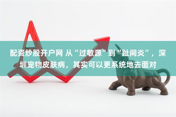 配资炒股开户网 从“过敏源”到“趾间炎”，深圳宠物皮肤病，其实可以更系统地去面对
